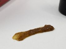 Esencia AGR Baits Lombriz 30ml
