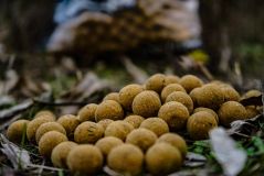 Boilies ProElite Classic Garlic 20mm 800g