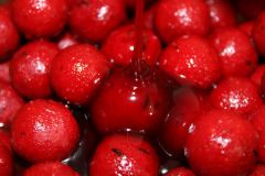 Dip Booster ProElite Krill & Crab 1 Lt
