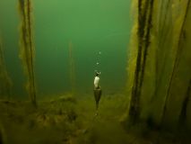 Montaje Fox Flotante Kit