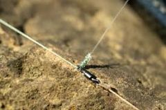 Potencia Guru Super Fine 2,25