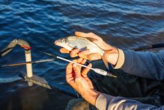 Flotador Guru Slider 3+8gr