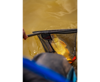 Cabeza de Sacadera Preston Carbono Maya Fina 16