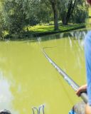 Caña Enchufable Preston MCX6 13.00m