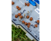 Mega Carp Pellets SonuBaits 6.00mm