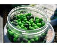 Band`um Wafter SonuBatis Marine Green 8 mm