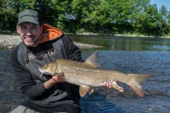 Pellets Sonu Baits Cheesy Garlic Halibut 3mm