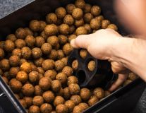 Cortador de Boilies ZFish 